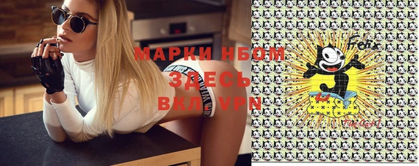 mdpv Богородицк