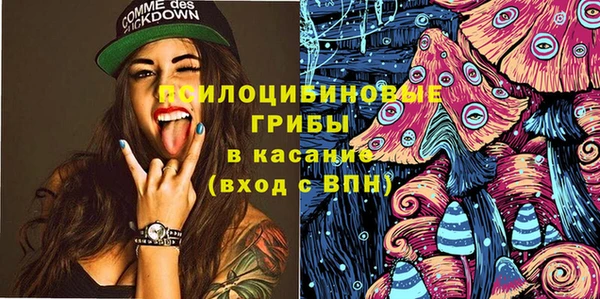 mdpv Богданович