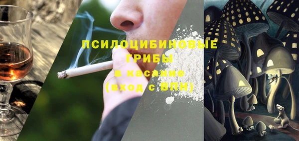 mdpv Богданович
